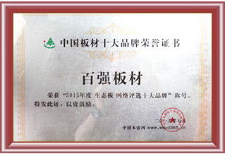 中国板材十大品牌荣誉证书